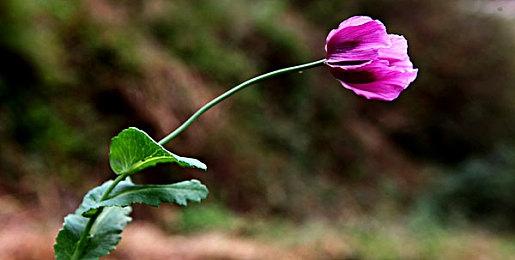 虚幻5打造《泰坦尼克号》游戏3＆3提供新试玩